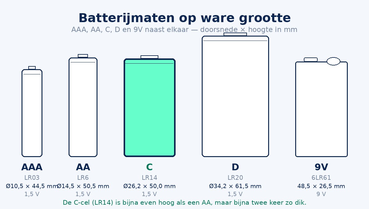 Batterijmaten AAA, AA, C, D en 9V naast elkaar op ware grootte
